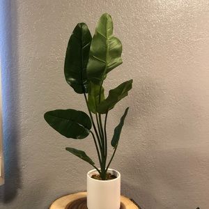 Project 62 Accents - PROJECT 62 2.2’ Artificial Banana Tree in Pot NEW Project 62 Accents - PROJECT 62 2.2’ Artificial Banana Tree in Pot NEW